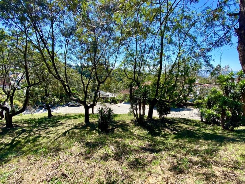 Terreno en venta en Club de Golf San Isidro — foto 1 de 4