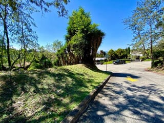 Terreno en venta en Club de Golf San Isidro — miniatura 4 de 4