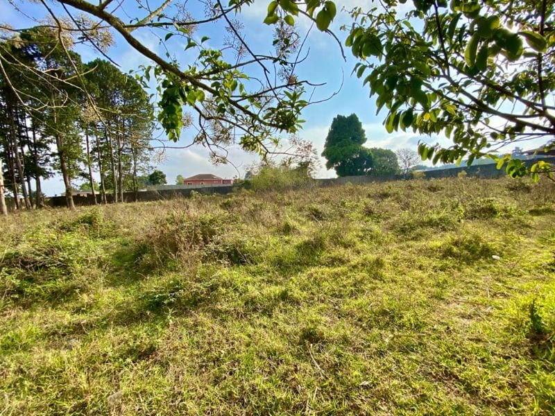 Terreno con potencial de desarrollo por Colegio Village — foto 1 de 3