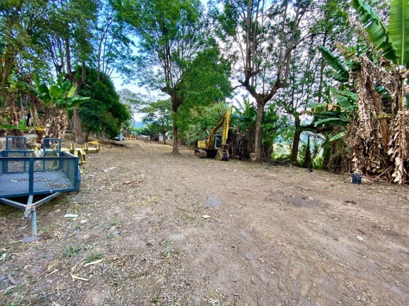 Propiedad en venta sobre la carretera a Villa Canales por Green Rush — foto 3 de 7